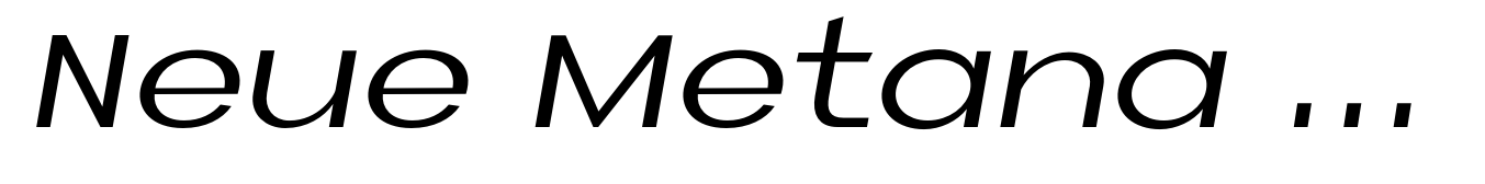 Neue Metana Italic